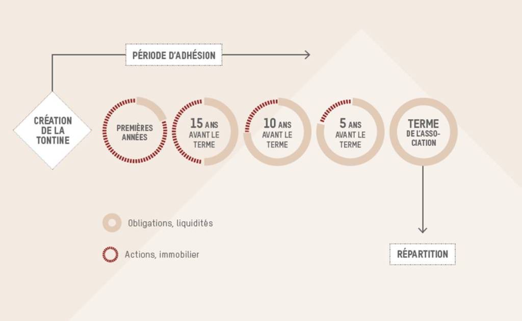 Schéma Tontine investissements